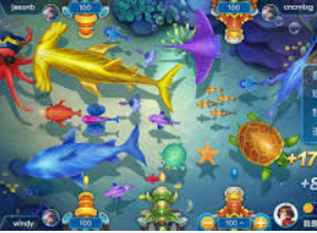 星空体彩app免费版