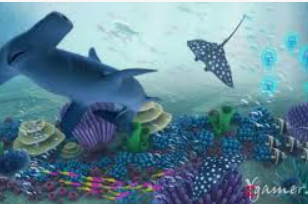 星空体彩app最新版